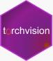 TorchVision